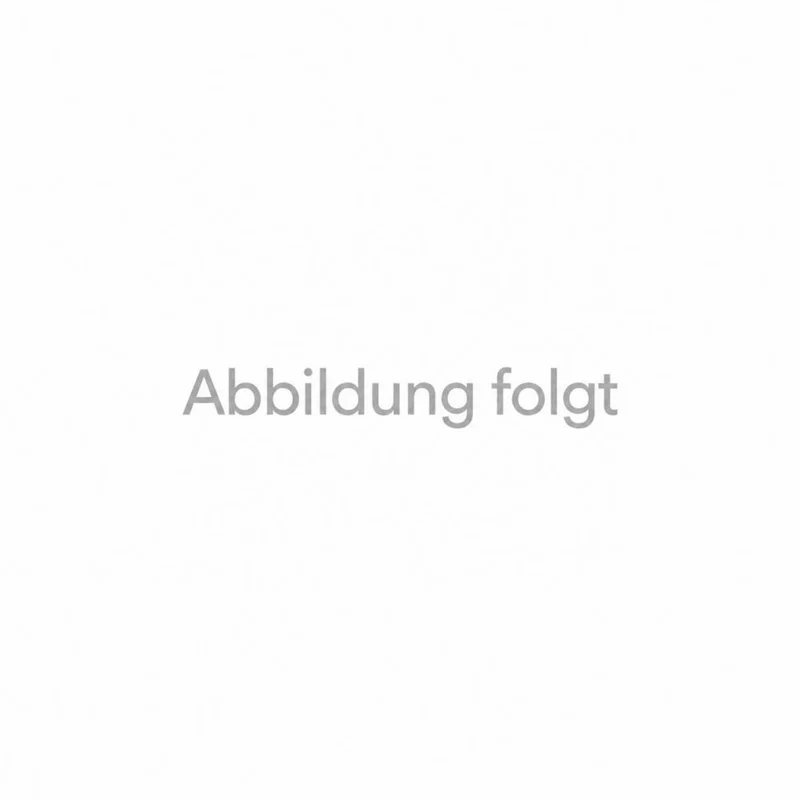 Campagnolo Befestigungsschraube 8mm für Befestigung 6 Loch-Rotor X20