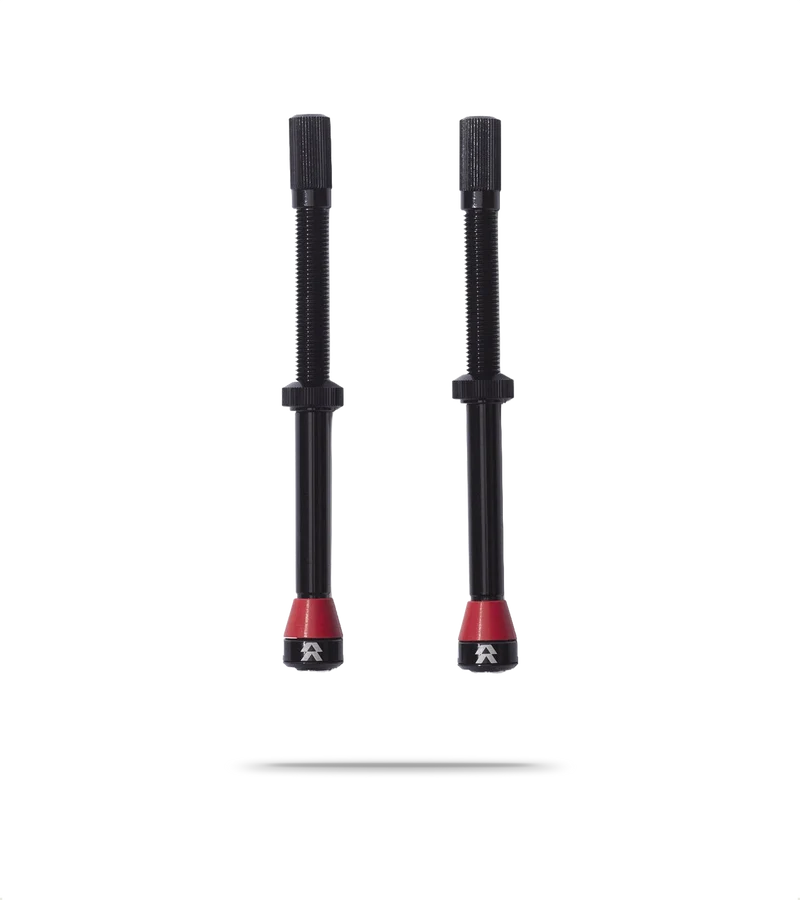 Fillmore Tubeless Valve Kit