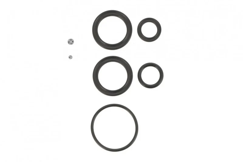 SR Suntour RS Oil Seal Kit RS16-17 Duair ist ein Dichtungssatz für SR Suntour RS16 und RS17 DUAIR Dämpfer, enthält PSB103, DS0001, FAA245, RAA041, RAA046, RAA062, kompatibel mit allen Versionen