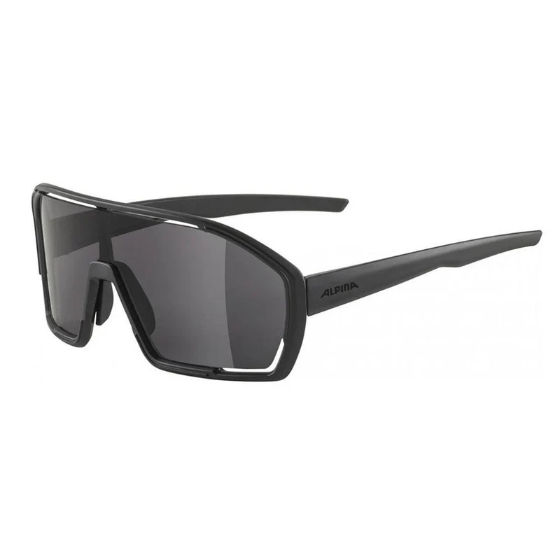 Alpina Sonnenbrille Bonfire Rahmen schwarz matt Glas schwarz Kat.3