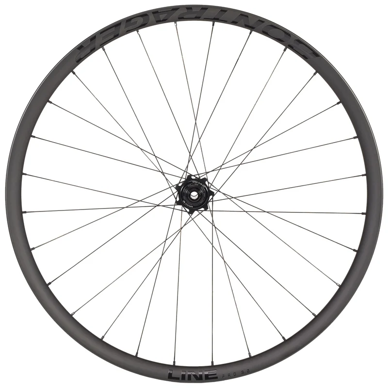 Line Pro 30 29" MTB Disc Clincher Rear Wheel