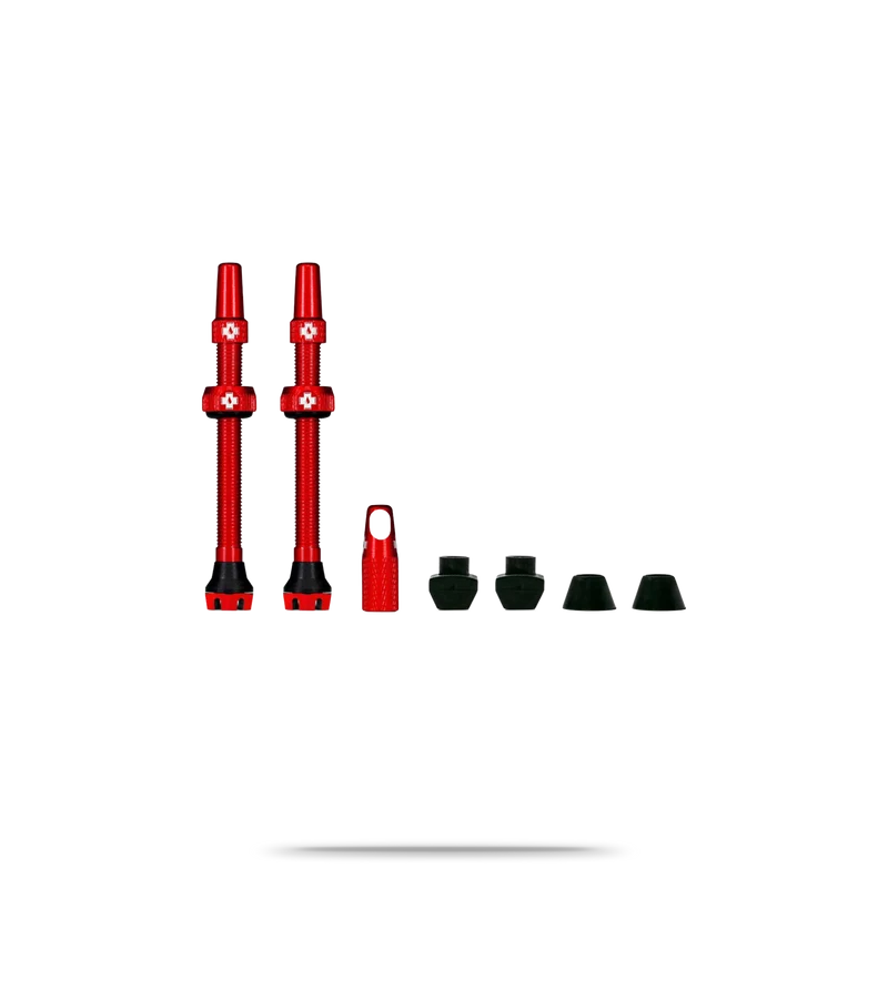 Tubeless Valve Kit V2