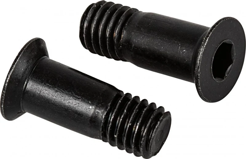 SHIMANO Schaltrollenschraube für RD-M430 2 Stück - Ersatzschrauben, ca. 5 g, Y5XG98030