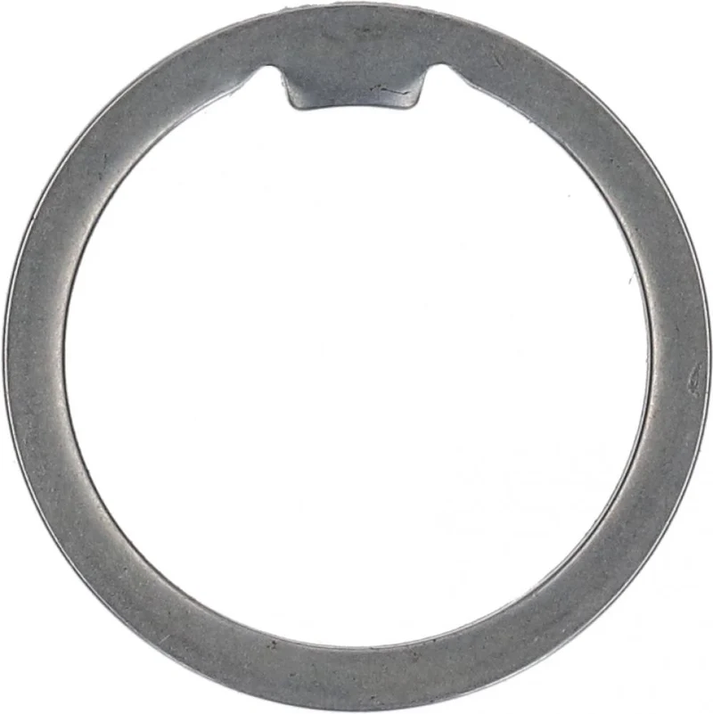 SHIMANO Schutzring SG-S700 - Kettenschutz für Nabenschaltung, ca. 30 g