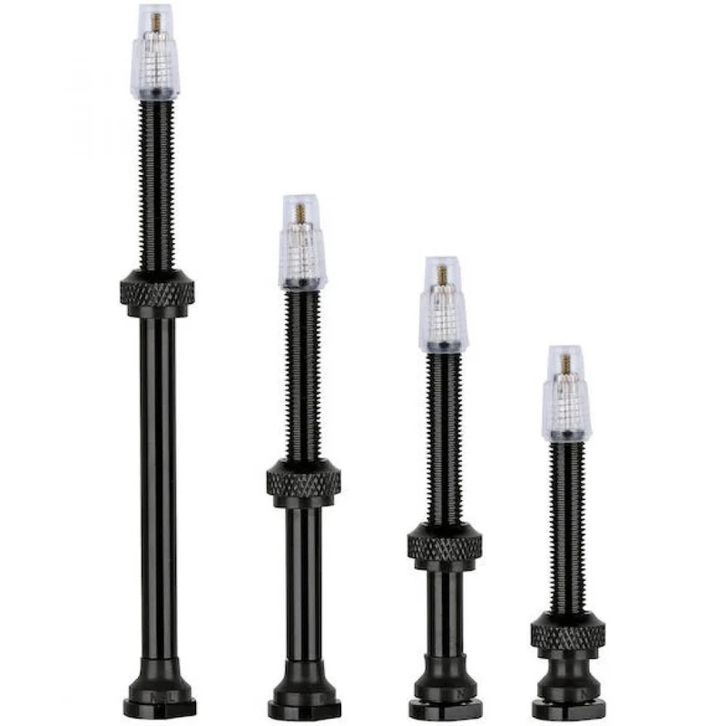 Vision Tubeless-Ventile inkl. Verlängerung 60 mm Schwarz - leichtes Set für TLR-Carbonfelgen