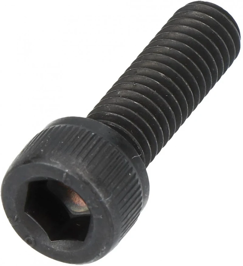 SHIMANO Schraube TL-CN26 - Ersatzschraube für Kettennieter TL-CN26, 7 g