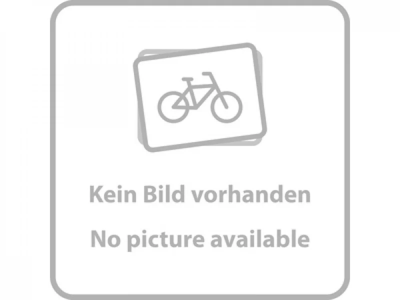 SRAM Freilaufkörper MTH 746 9-/10-fach - zuverlässiger Austausch-Freilauf für Hinterradnaben