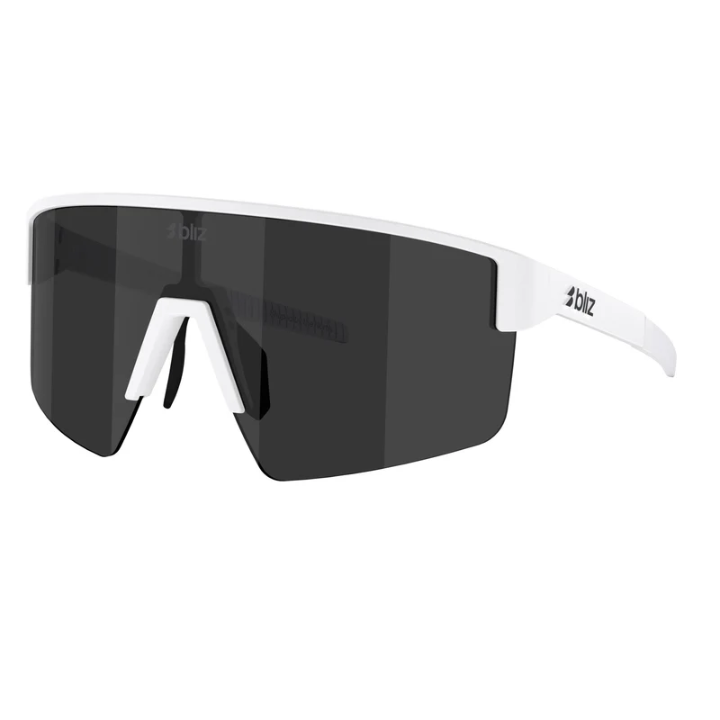 P004S Sunglasses