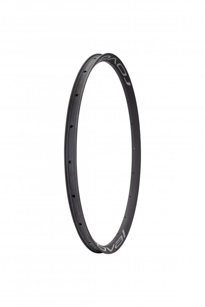 CONTROL RIM MY24 CONTROL SL TEAM - 29 FRONT & REAR 20H DISC 29MM INTERNAL (WC033-2) - SATIN CARBON W/ WHITE DCL - Felge