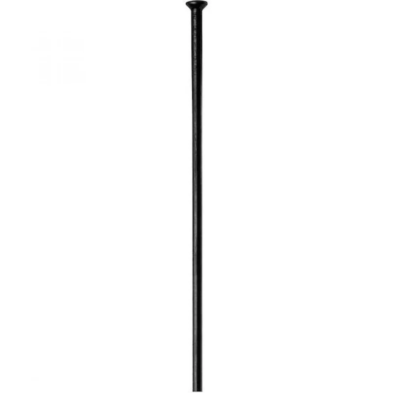 DT Swiss Speiche Champion 2.0 Straightpull VE100 294 mm schwarz - robuste Laufrad-Aufrüstung