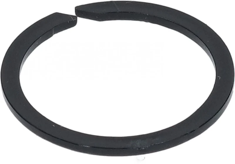 SHIMANO Dichtung FH-RM66 - Nabe FH-RM66, Ersatzdichtung, 2 g