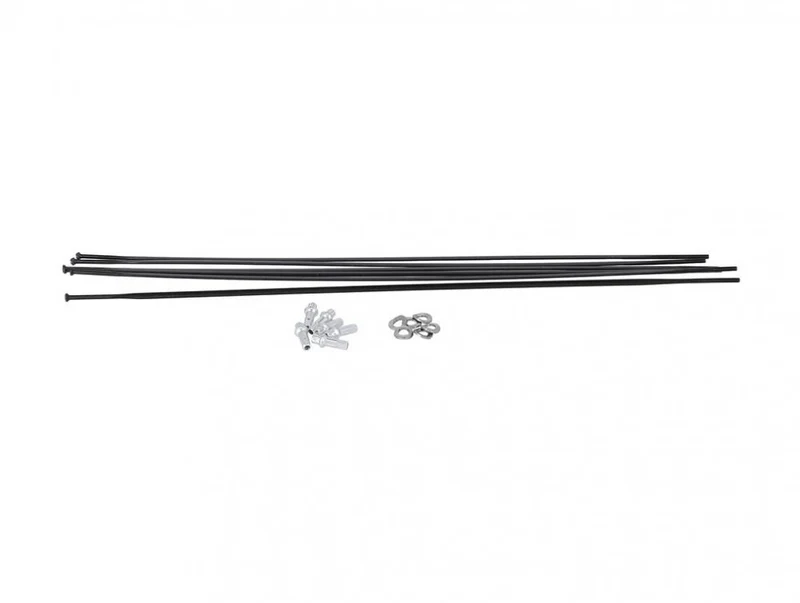 DT Swiss Speichenkit für PR1400 DICUT VR/HR 21 mm schwarz - präzises Ersatzspeichenset