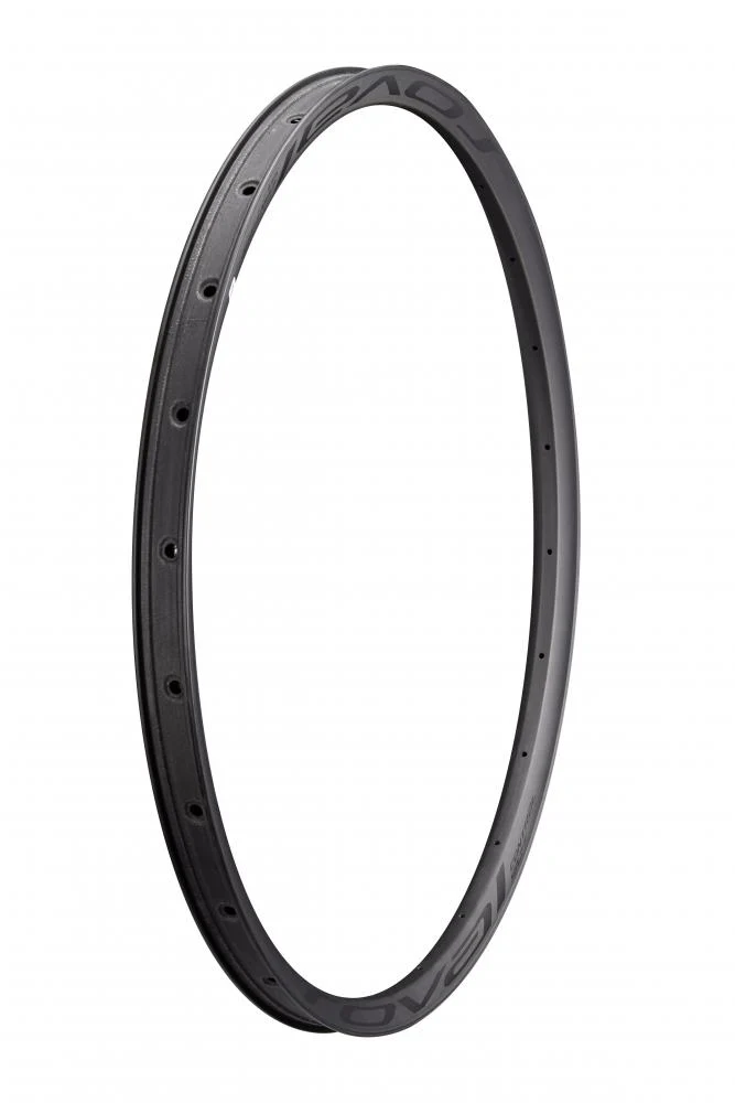 CONTROL RIM MY21 CONTROL SL 29 - Felge - FRONT & REAR CARBON 24H DISC 29MM INTERNAL (WC031) - SATIN CARBON W/ BLACK DECAL