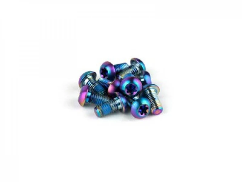 SRAM Befestigungsschraube Rotor rainbow T25 Titan 12 Stück - Leichte & sichere Scheibenmontage