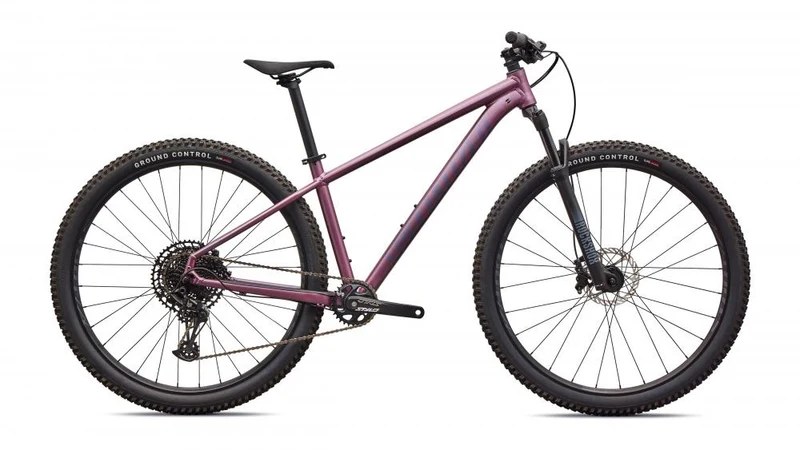 ROCKHOPPER EXPERT KH QTZMET/WHT L - 29 Zoll Mountainbike
