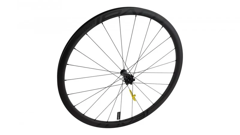 CONTROL WHL MY18 CONTROL SL 29 - FRONT CARBON TA 15X100MM DISC 6-BOLT 24H (LFM16) - SATIN CARBON W/ BLACK DCL - Nabe - Vorderrad